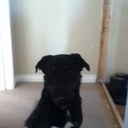 patrick kenny - @KdkennyKenny - Twitter