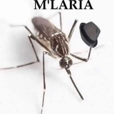 frosty4snow's profile picture. 