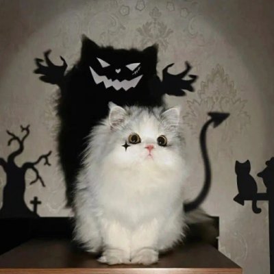 Mandy654061's profile picture. When you're busy working on what you want, you don't have time to worry about what you don't want.