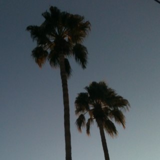 slice852's profile picture. 