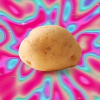 🍟(ぽてと) (@imo_tensai) 's Twitter Profile Photo 🍟(ぽてと) (@imo_tensai) 's Twitter Profile Photo