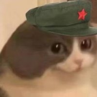 普列斯特 (@liepu) 's Twitter Profile