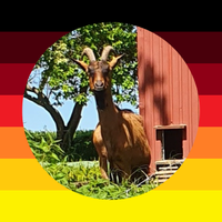 PeterK (@peterludolf) 's Twitter Profile