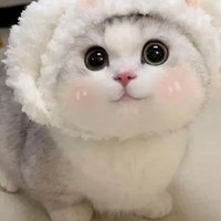 주유미 (@qlir461f4j8he3) 's Twitter Profile