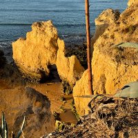 Angolano (@angolano_bas) 's Twitter Profile Photo