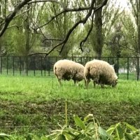 北大生協 北部店（購買┊︎書籍┊︎トラベル┊︎食堂） (@hokubucoop) Twitter profile photo