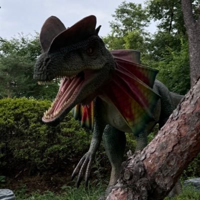 stellasfather's profile picture. 어렵다. 모르겠다.