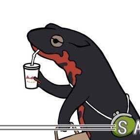 imr_aka2's profile picture. 
