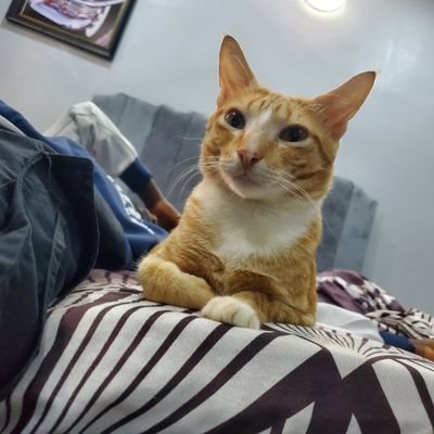 uthman___'s profile picture. Documentary Filmmaker | Editor | Creative | Lifestyle.
Creative Space @__thecineman
Films @neuvrefilms