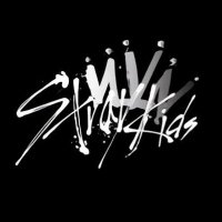 スキズ@Stray Kids応援 (@sukizu_pure) 's Twitter Profile Photo スキズ@Stray Kids応援 (@sukizu_pure) 's Twitter Profile Photo