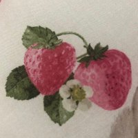 tomo (@t07463527) 's Twitter Profile