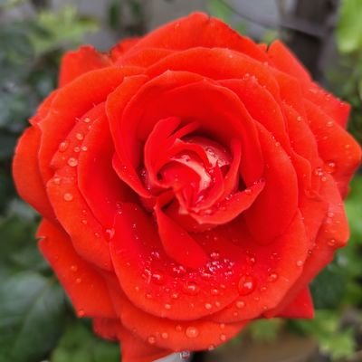 josemuniozz's profile picture. 