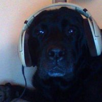 hydrox (@hydroxbigs) 's Twitter Profile Photo