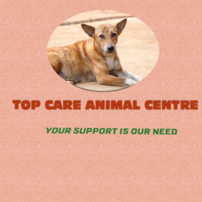 we rescue and care for voiceless animals through your donations 🙏 the Link 🔗 in bio