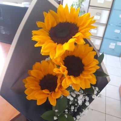 RoTheMuse's profile picture. Art Thinker | Chewing on God's Grace...