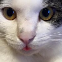 Qちゃん (@ishimaru_3799) 's Twitter Profile