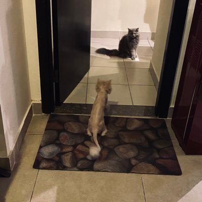 RabailQure51142's profile picture. 