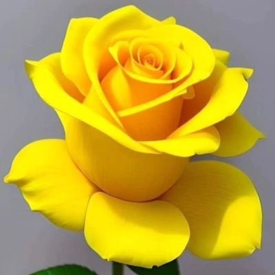 اللهم صل عــــــــلىِّ مُحمَّــــــــدٍ وآلِ محمـــــــَّد الطيبيـ☘️ـــن الطاهُــــــ🌸ــــرين💙