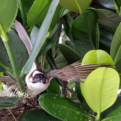 Glass_Pseudo's profile picture. 自重人重
不懂自重
他人看你就是渣!!