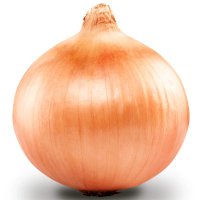 たまねぎ🧅事業承継(農業経営の引受け)希望 (@onion_onion_fly) 's Twitter Profile