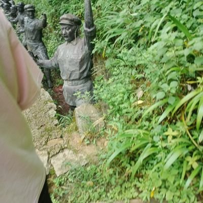 coredaolan's profile picture. core信仰者