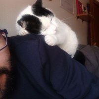 Marcos José Wagih (@marcoswagih) 's Twitter Profile