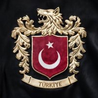 Fluence 1.5 DCi EDC icon (@kutayaksu01) 's Twitter Profile