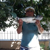 Erdur Köse (@erdurkse2) Twitter profile photo