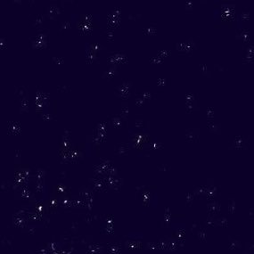 NanaXduwu's profile picture. 