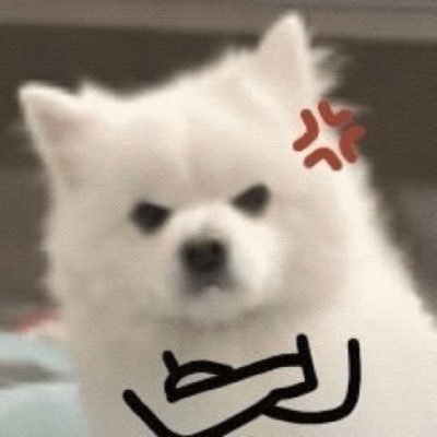 boomeowさんのプロフィール画像