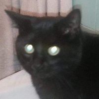 Besk (@beskinfinity) 's Twitter Profile
