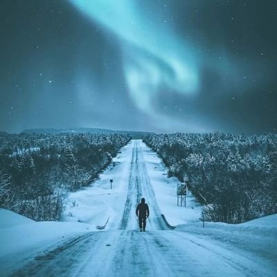 XYZLC's profile picture. Offline了 下线