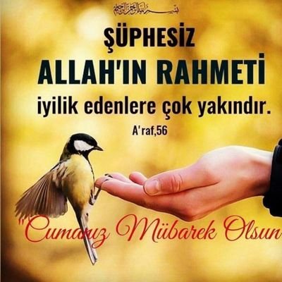 ilhansevin's profile picture. Hhgvgvvv