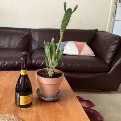 JohnSHabershon's profile picture. I have one foot out of the door @johnsabhab.bsky.social