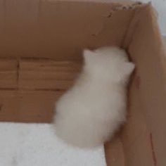 veeeeioln's profile picture. 🥺そっとしておいて欲しいアカウント