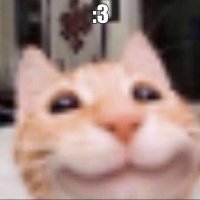 SereneEXE (@sereneexe) 's Twitter Profile