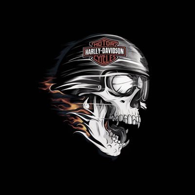 SeminoleWind7's profile picture. Be Fearless In The Pursuit Of What Sets Your Soul On Fire 🔥 Dilley300 ~ MAGA ~ America First 🇺🇸