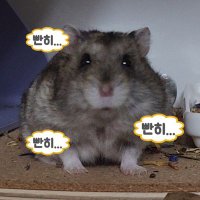 아버 (@aber_nim_) 's Twitter Profile