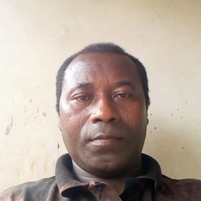 Toye117031's profile picture. 