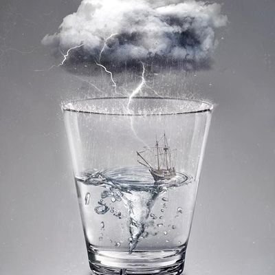 Sehar3586's profile picture. 