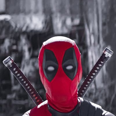 ThebullZavi42's profile picture. 