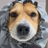 hotteok_jindo's profile image