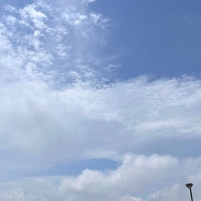 pmmm_31's profile picture. 