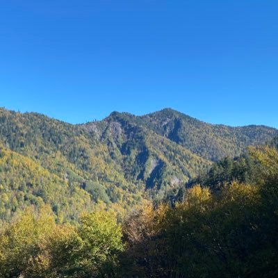 flybry219's profile picture. 