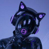 Loki (@puploki) 's Twitter Profile