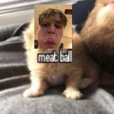 Royy_yipee's profile picture. peeeewwww yeewwww it stinks here.... 🙁