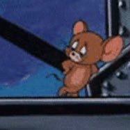 hello_ydp's profile picture. 