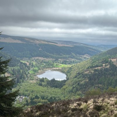 Lama_AAlharthi's profile picture. Lecturer @_PNU_KSA | MSc in Translation Technology @DCU | Doctoral Candidate @DCU