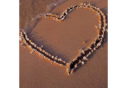 Roxann Smith - @80Roxi - Twitter