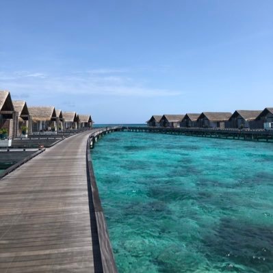 1farhan0's profile picture. #RCB #PlayBold